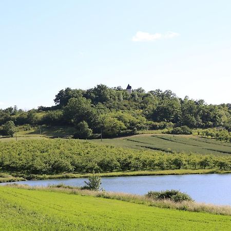 Вілла Moulin De Rouze Castelnaud-de-Gratecambe Екстер'єр фото