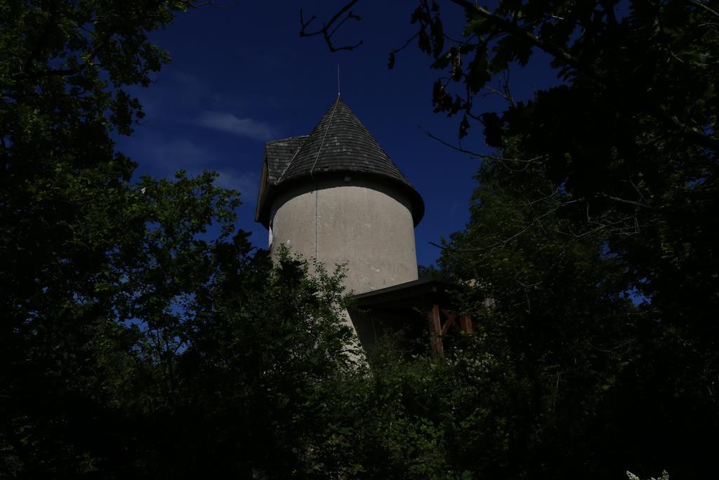 Вілла Moulin De Rouze Castelnaud-de-Gratecambe Номер фото