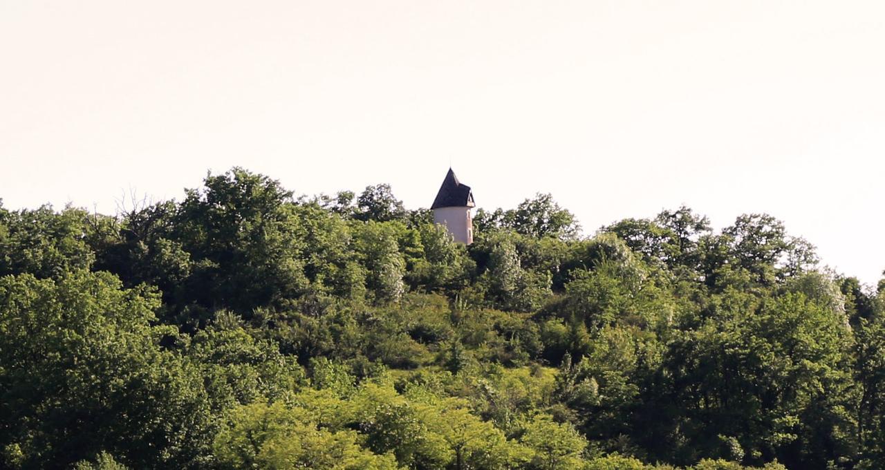 Вілла Moulin De Rouze Castelnaud-de-Gratecambe Екстер'єр фото